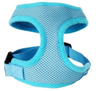 Blue Hourglass Harness