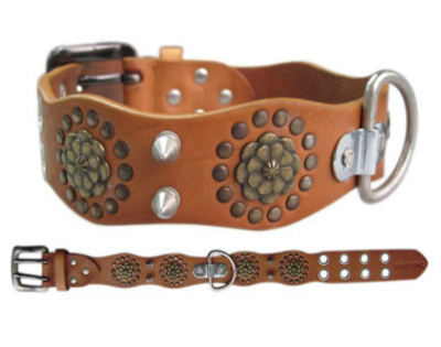 Brown Leather Collar with Spike