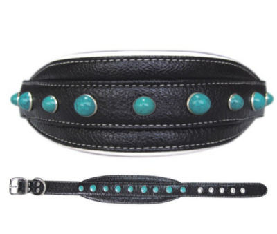 Faux Leather Collar with Turquoise Stones