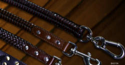 Leather Leash