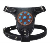 Faux Leather Black Harness